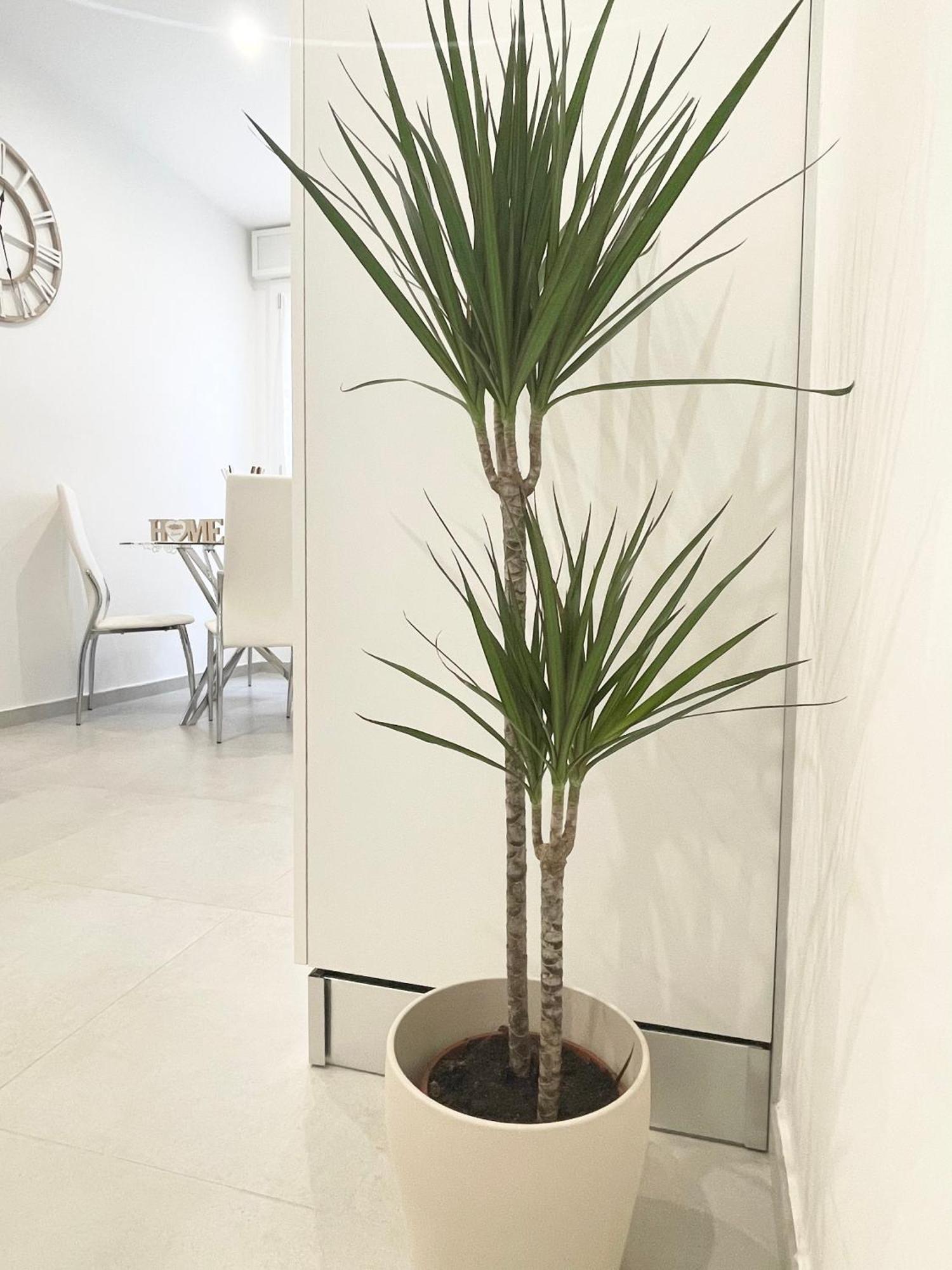 B&B Sabo Bologna Bagian luar foto